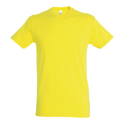 T-shirt Personnalisé (Unisexe) Régent